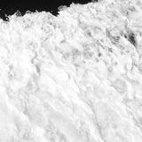 Fynn Stoldt Hydra Kunst100 Zoom