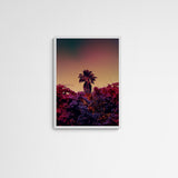 Studio Johanna von Holst Oliv Frame White Weiß