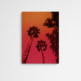 Studio Johanna von Holst Cai Main Image Square