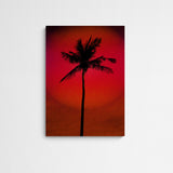 Studio Johanna von Holst Good Morning Old Goa Main Image Square