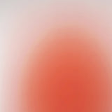 Kunst100 Charlotte Rother Rot Zoom