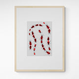 Kunst100 Charlotte Rother Feuerkäfer Frame Wood Fichte Fichte