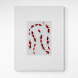 Kunst100 Charlotte Rother Feuerkäfer Frame White Weiß Weiß