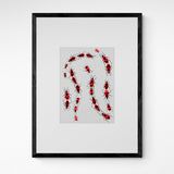 Kunst100 Charlotte Rother Feuerkäfer Frame Black Schwarz Schwarz