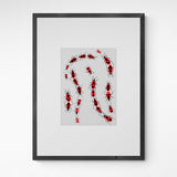 Kunst100 Charlotte Rother Feuerkäfer Frame Grey Grau Grau