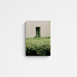 Vera Landmann Jasmine Main Image Square