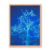 Louis Hein Blue Blossom Kunst100 Fichte
