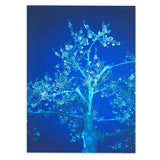 Louis Hein Blue Blossom Kunst100 Square