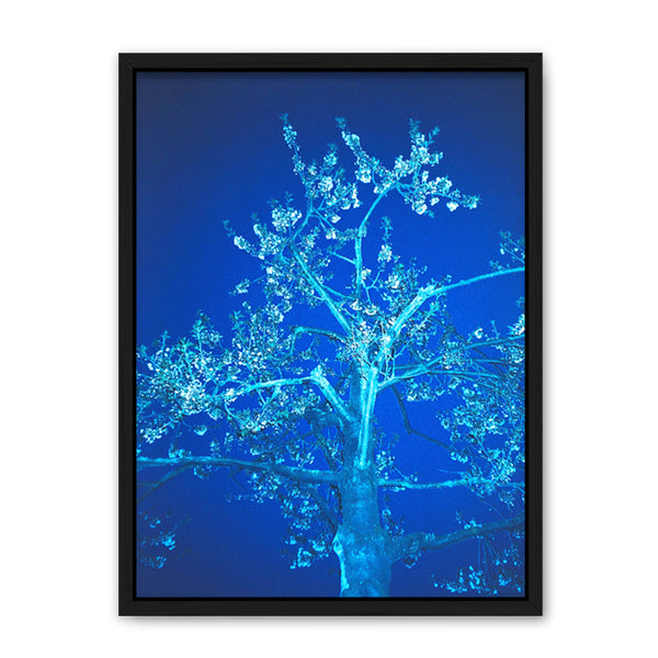 Louis Hein Blue Blossom Kunst100 Schwarz