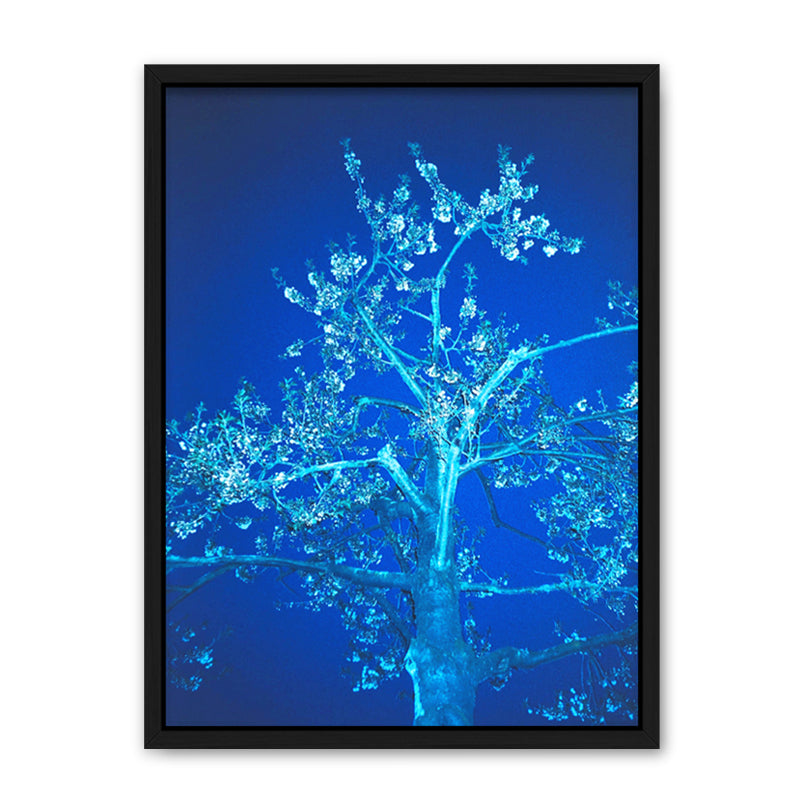 Louis Hein Blue Blossom Kunst100 Schwarz
