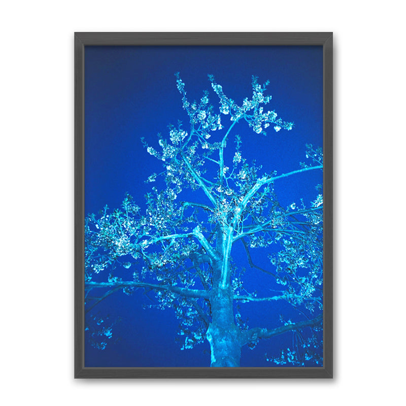 Louis Hein Blue Blossom Kunst100 Grau