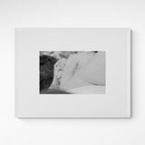 Giulia Artusa august. Kunst100