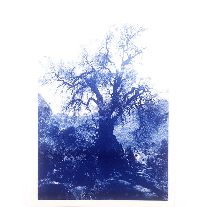 ANNAMARIAANGELIKA Tree Huaraz big dark blue series Kunst100 Zoom
