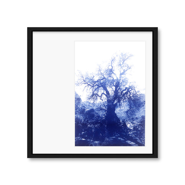 ANNAMARIAANGELIKA Tree Huaraz big dark blue series Kunst100 Schwarz