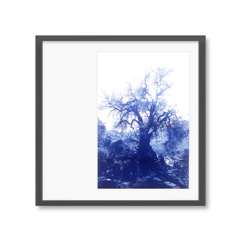 ANNAMARIAANGELIKA Tree Huaraz big dark blue series Kunst100 Grau