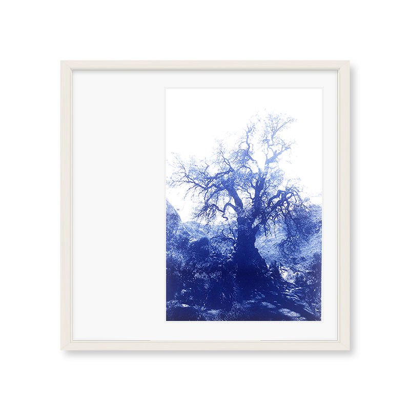 ANNAMARIAANGELIKA Tree Huaraz big dark blue series Kunst100 Weiß