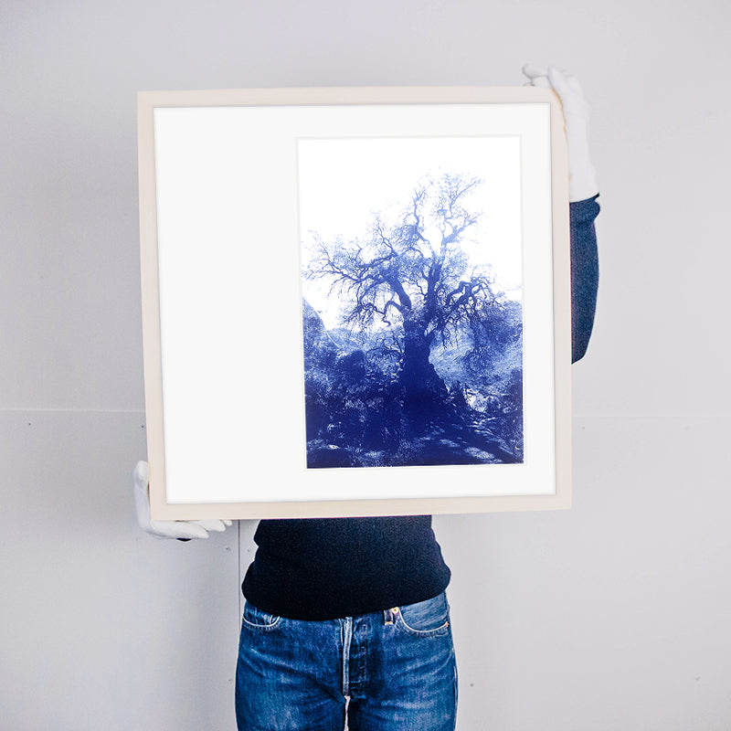 ANNAMARIAANGELIKA Tree Huaraz big dark blue series Kunst100 Rahmen