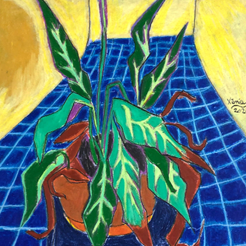 Xènia Ruiz Mom`s plant II Kunst100 Zoom