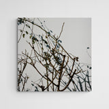 Sebastian Steimel Habitat 1 Main Image Square