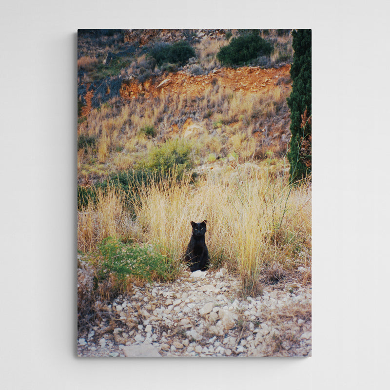 Vera Landmann Kitty Main Image Square