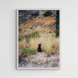 Vera Landmann Kitty Frame White Weiß