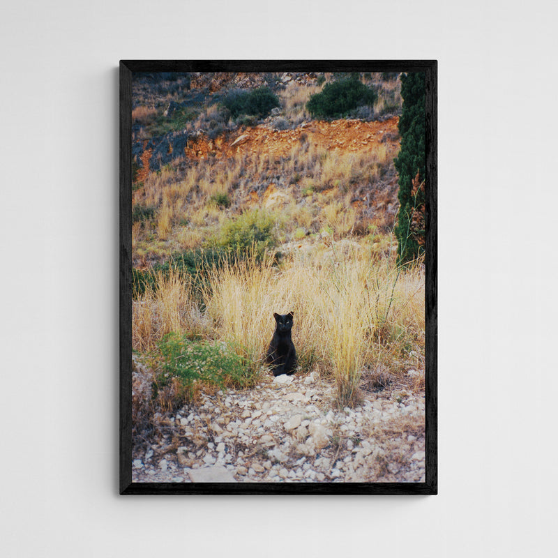 Vera Landmann Kitty Frame Black Schwarz