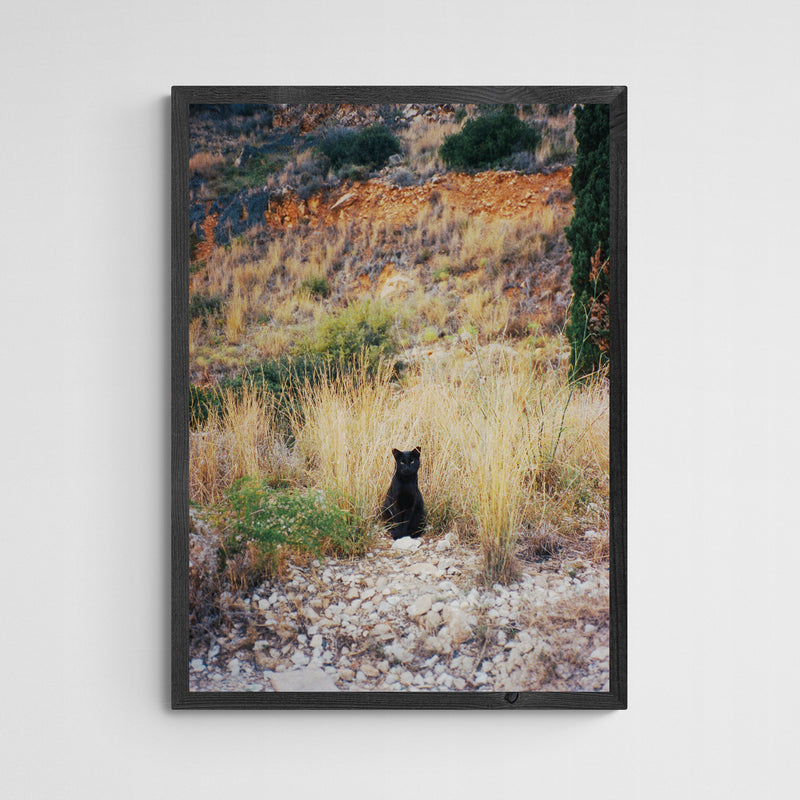 Vera Landmann Kitty Frame Grey Grau