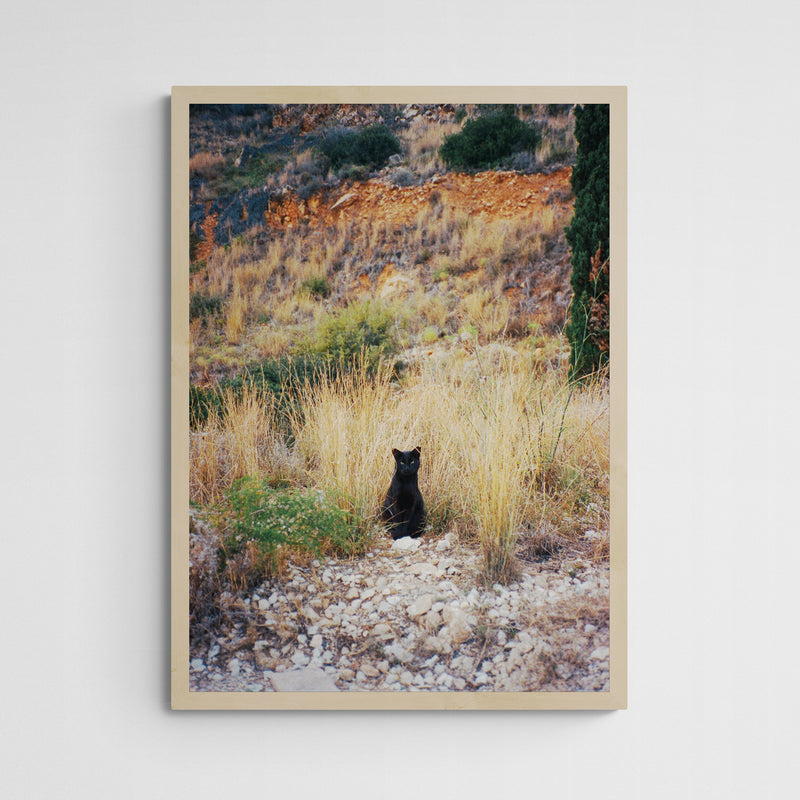 Vera Landmann Kitty Frame Wood Holz