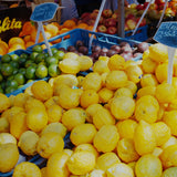 Vera Landmann Lemons Zoom