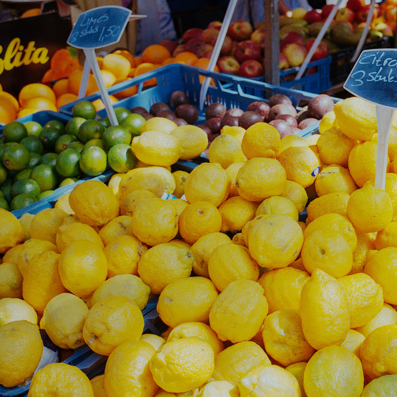 Vera Landmann Lemons Zoom