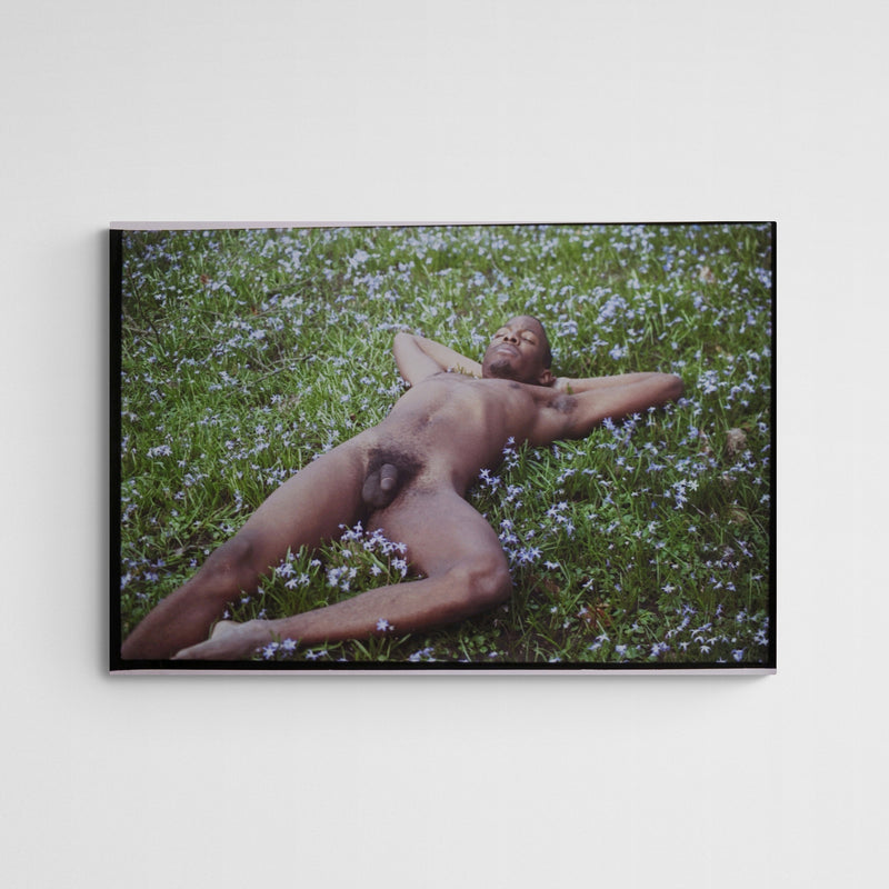 Daniela Torres A floor full of Flowers Main Image Square