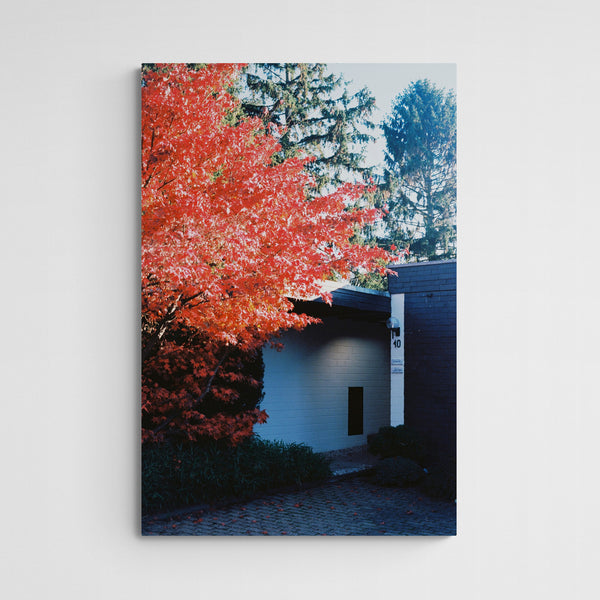Sebastian Steimel Habitat 2 Main Image Square