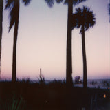 Daniela Torres Miami Sunset Zoom
