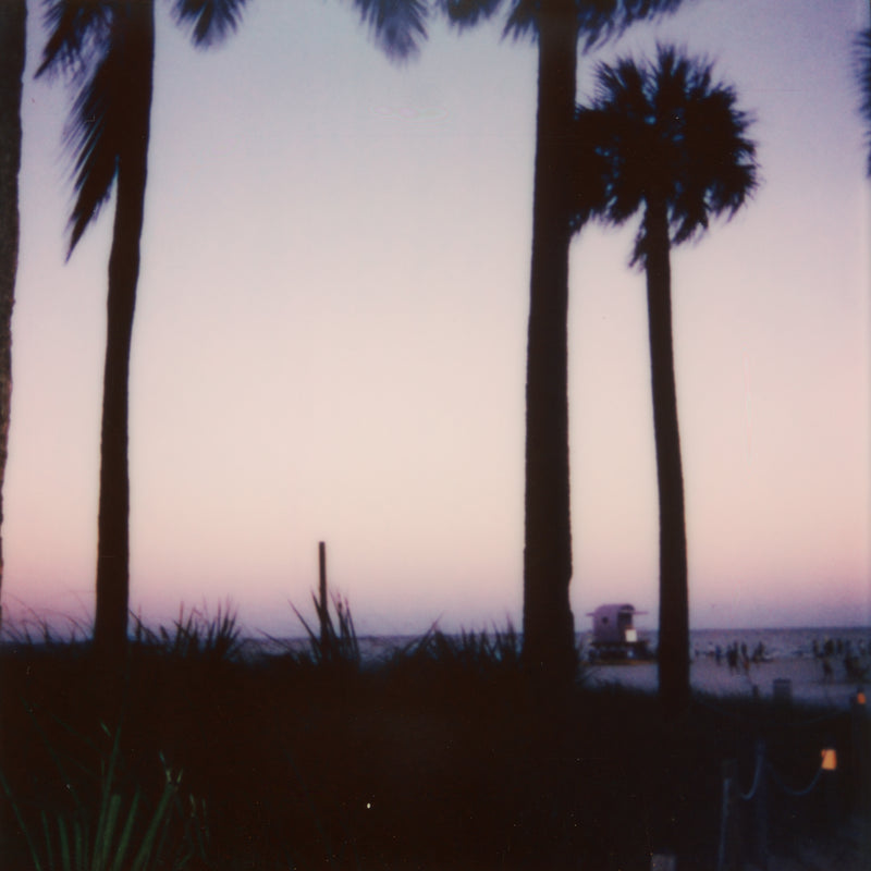 Daniela Torres Miami Sunset Zoom