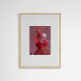 Stefanie Berkmann Pink Sundae Frame Wood Holz