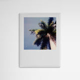 Daniela Torres Miami Palmtree Frame White Weiß