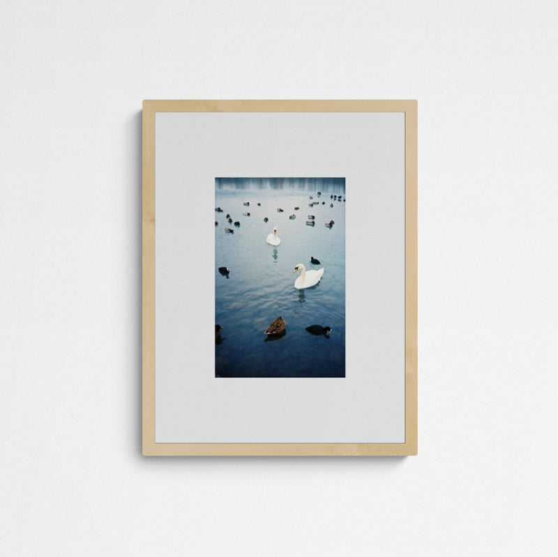 Jaqui STRESSED ECOSYSTEMS 02 Frame Wood Holz
