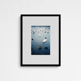 Jaqui STRESSED ECOSYSTEMS 02 Frame Black Schwarz