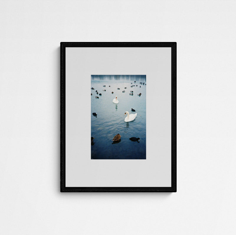Jaqui STRESSED ECOSYSTEMS 02 Frame Black Schwarz