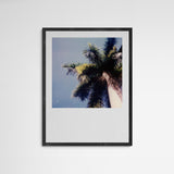 Daniela Torres Miami Palmtree Frame Grey Grau