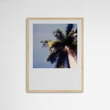 Daniela Torres Miami Palmtree Frame Wood Holz