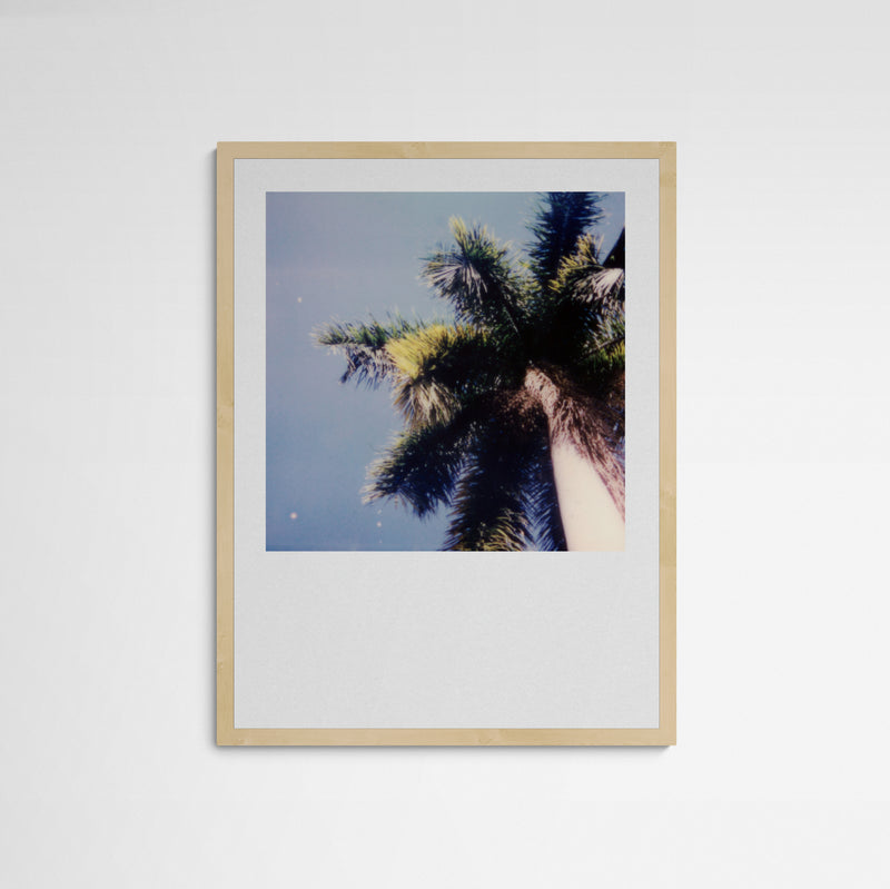 Daniela Torres Miami Palmtree Frame Wood Holz