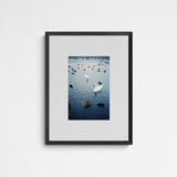 Jaqui STRESSED ECOSYSTEMS 02 Frame Grey Grau