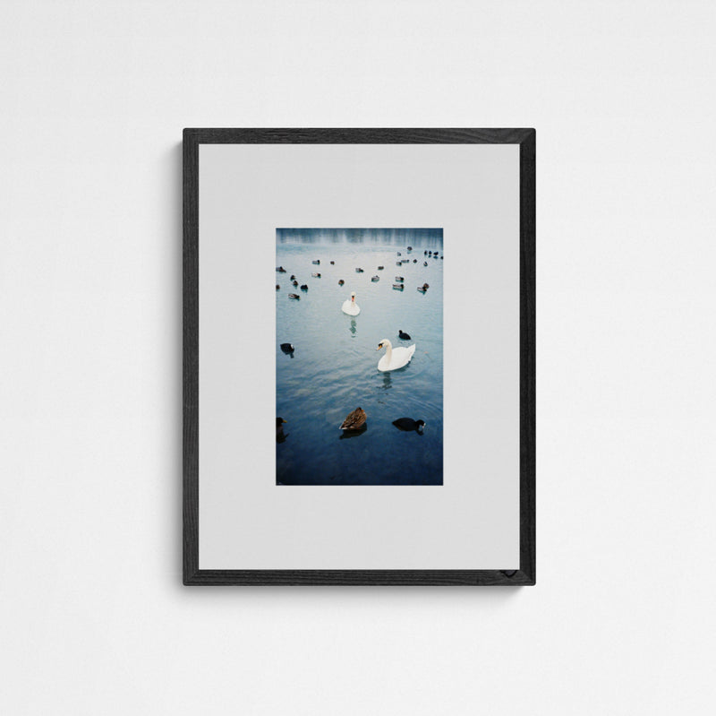 Jaqui STRESSED ECOSYSTEMS 02 Frame Grey Grau