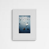 Jaqui STRESSED ECOSYSTEMS 02 Frame White Weiß
