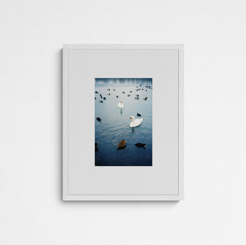 Jaqui STRESSED ECOSYSTEMS 02 Frame White Weiß