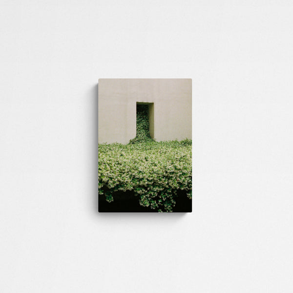 Vera Landmann Jasmine Main Image Square