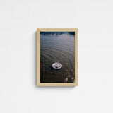 Jaqui STRESSED ECOSYSTEMS 03 Frame Wood Holz