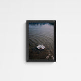 Jaqui STRESSED ECOSYSTEMS 03 Frame Grey Grau