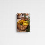 Vera Landmann Limoni Main Image Square